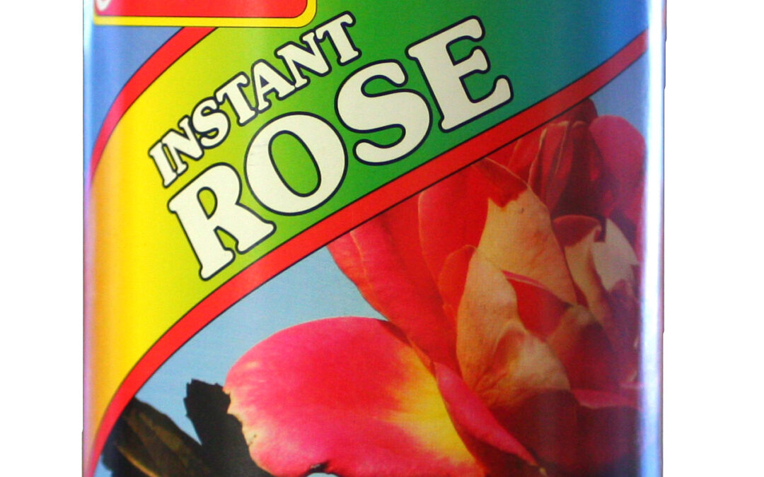 Instant Rose 24oz