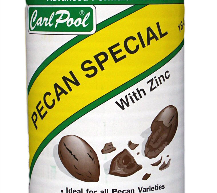 Pecan Special 24oz